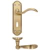 Zoo Hardware Fulton & Bray Winchester Door Handles On Backplate, Florentine Bronze (Sold In Pairs)