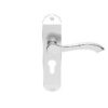 CARLISLE BRASS - DL180YSC ANDROS LEVER ON BACKPLATE - LOCK EURO PROFILE 47.5MM C/C