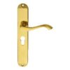 CARLISLE BRASS - DL380Y ANDROS LEVER ON BACKPLATE - LOCK EURO PROFILE 47.5MM C/C