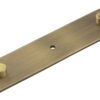 Fanshaw AB 140x30mm Back Plate Concealed Screw Caps