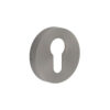 GM Euro Profile Escutcheon PVD 52x8mm