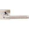 LR4060SN/PN Lever on Rose